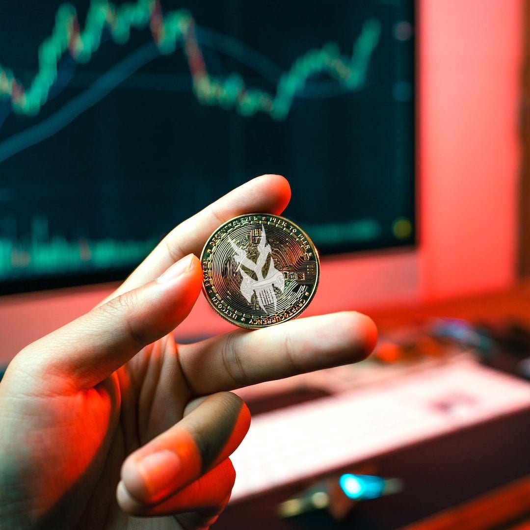The only Barbarossa-Endorsed Cryptocoin - Barbarossa Brothers