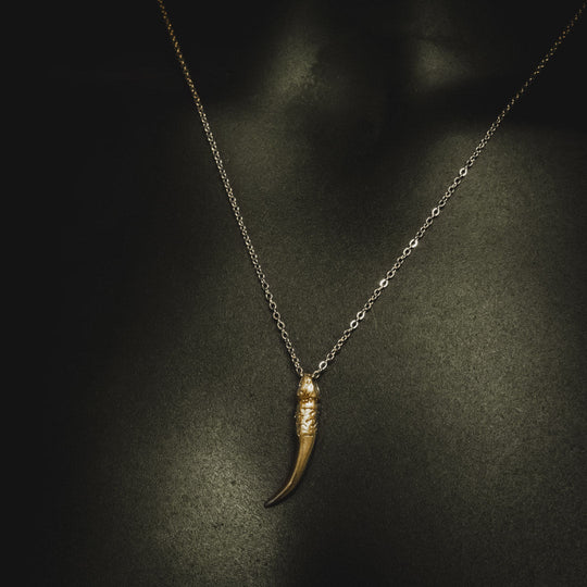 Men's Horn Pendant and Necklace - Gold Plated - Barbarossa Brothers
